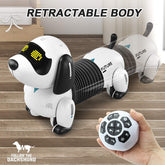 Rc dog