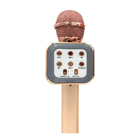 WIRELESS  MICROPHON  E