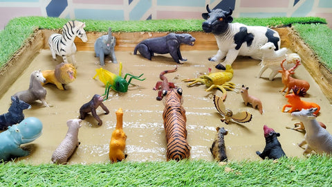 Farm World full of Fun Zoo